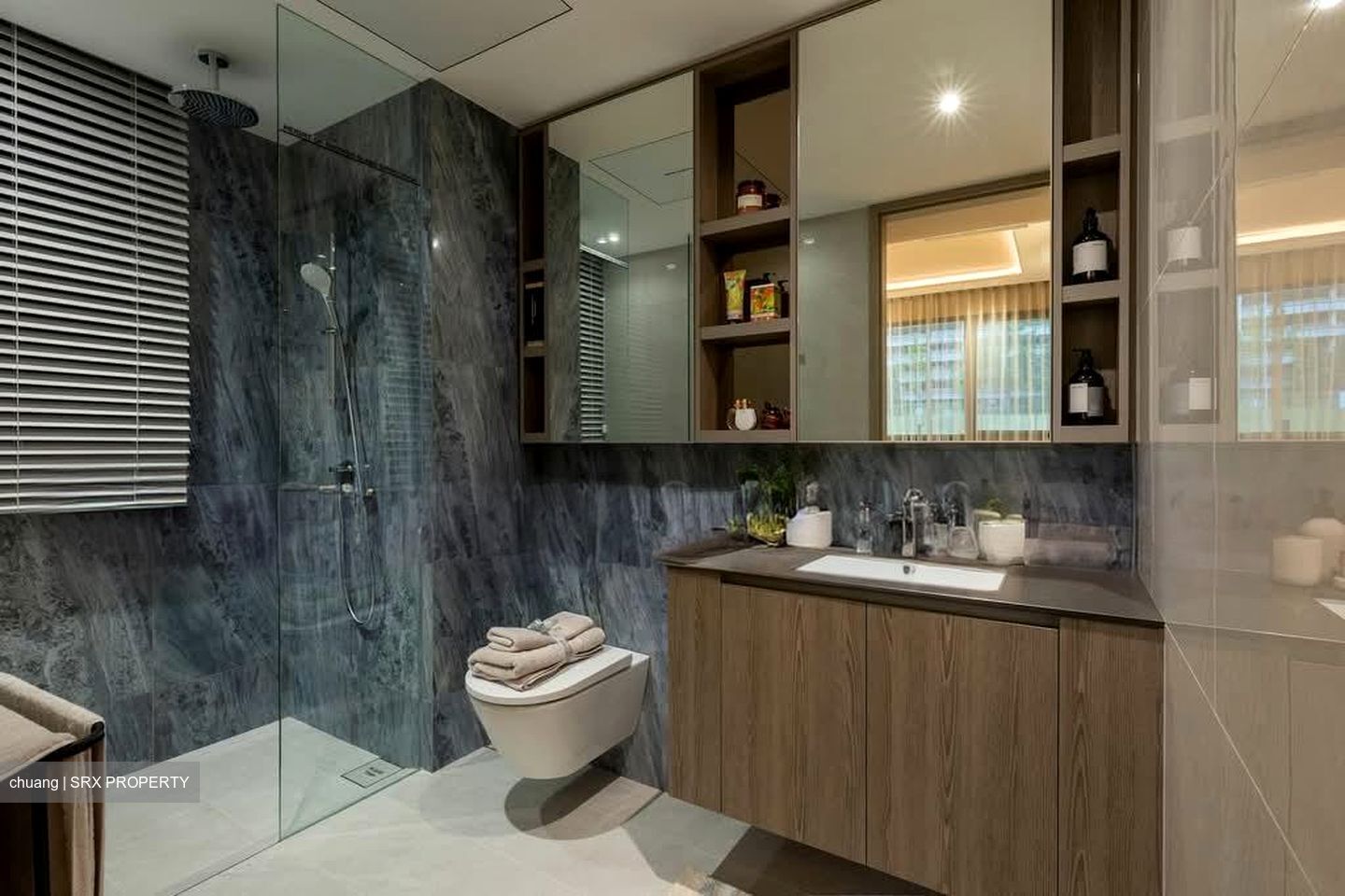 Dunearn Road (D11), Condominium #558947001